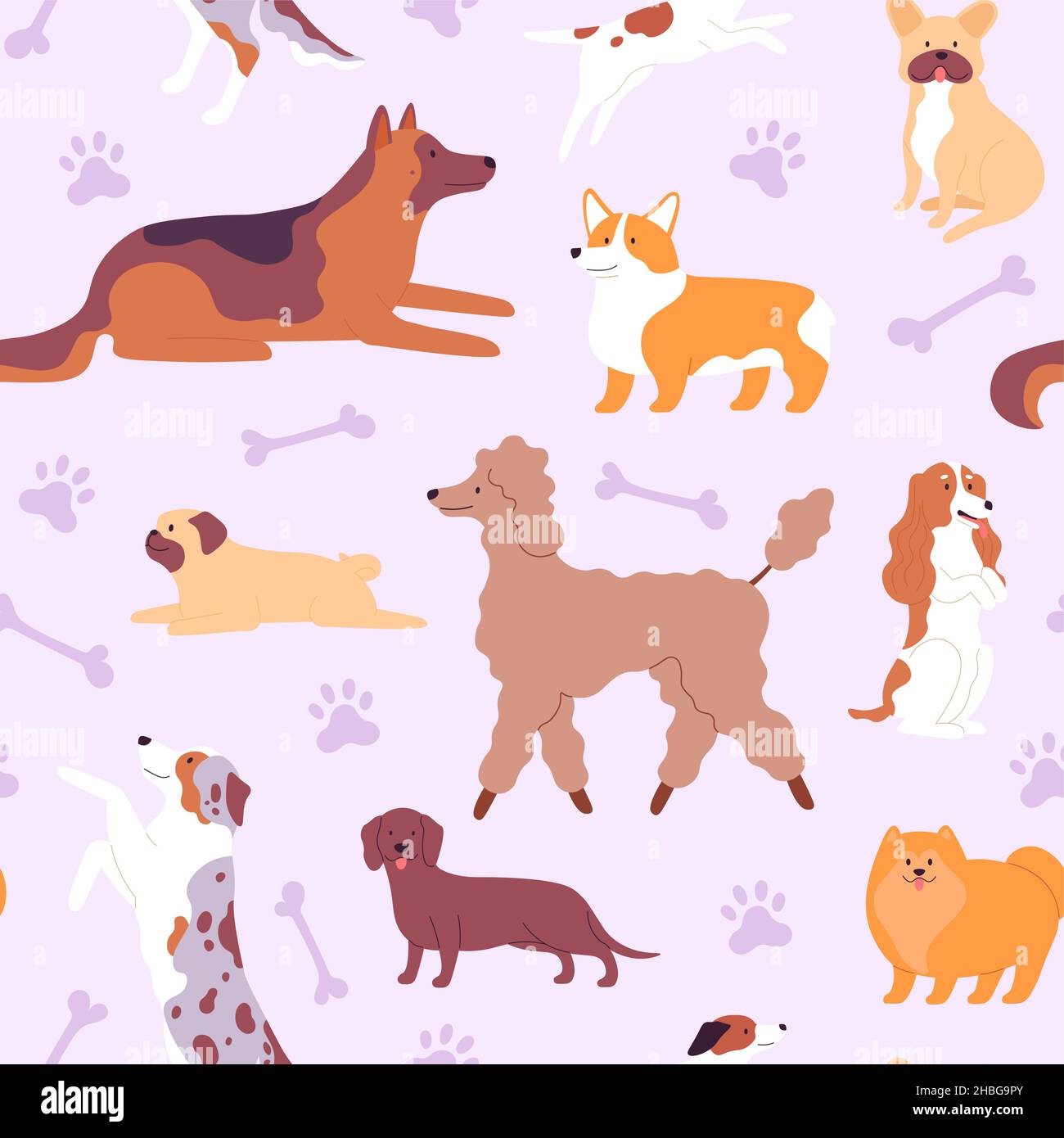 Motif sans couture avec de jolis chiens et chiots de style scandinave.Impression avec des feuilles de caniche, de pug, de corgi et de texture vectorielle de berger allemand Illustration de Vecteur
