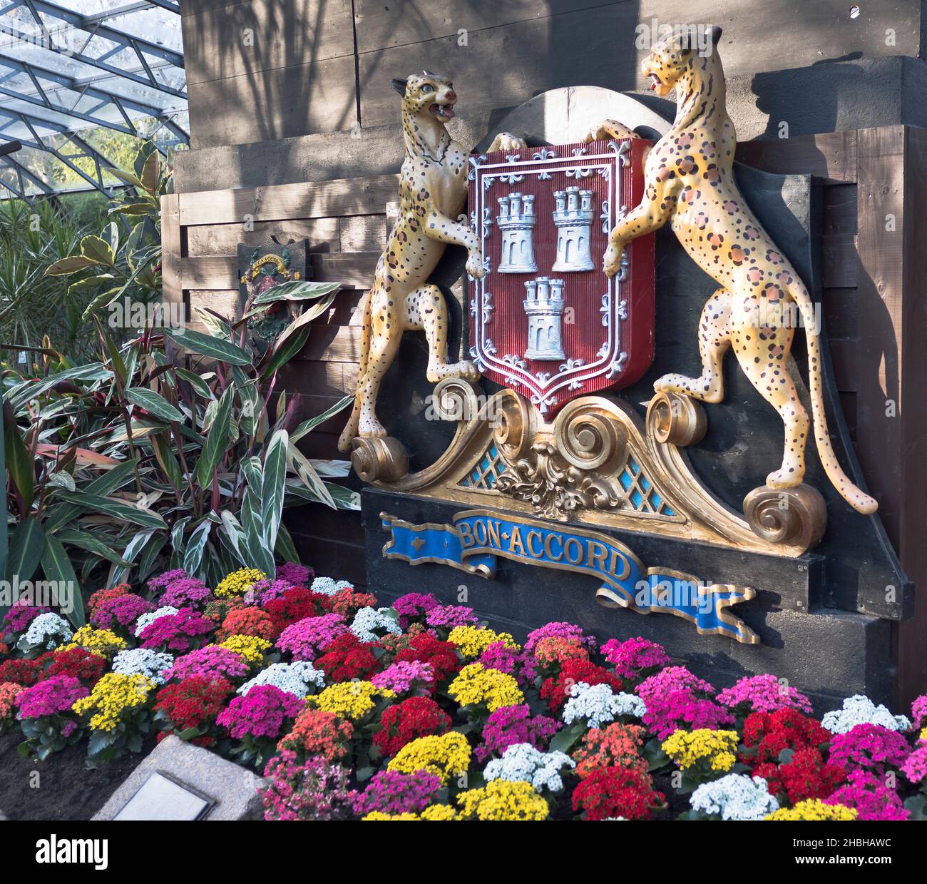 dh Duthie Park ABERDEEN SCOTLAND bon Accord léopard des armoiries exposition de fleurs dans le jardin Winter Gardens Banque D'Images