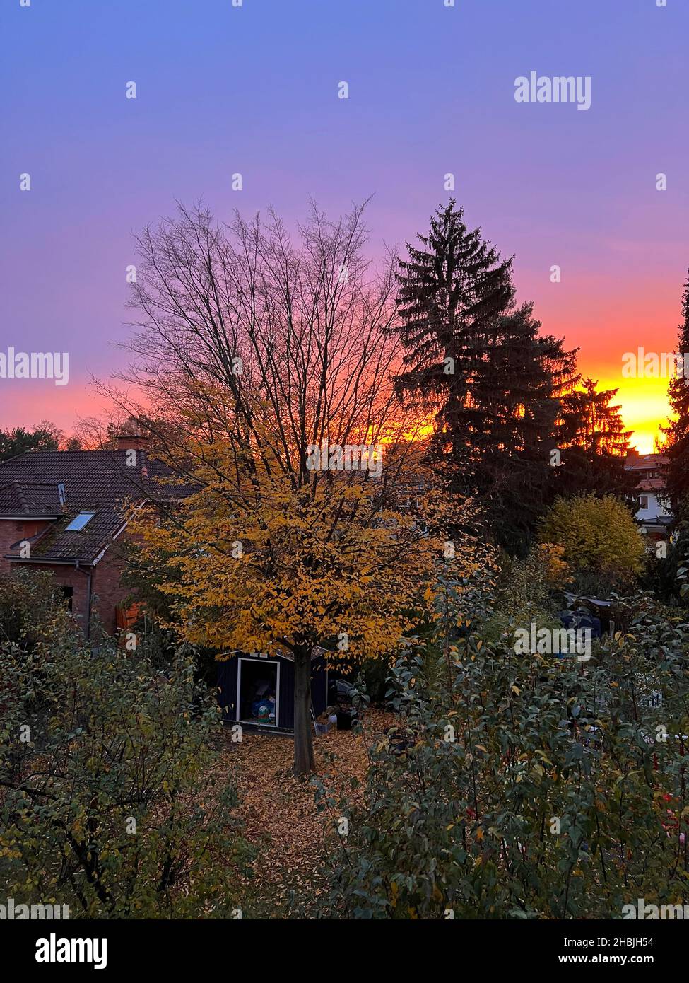 Coucher de soleil d'automne à Berlin Allemagne Banque D'Images