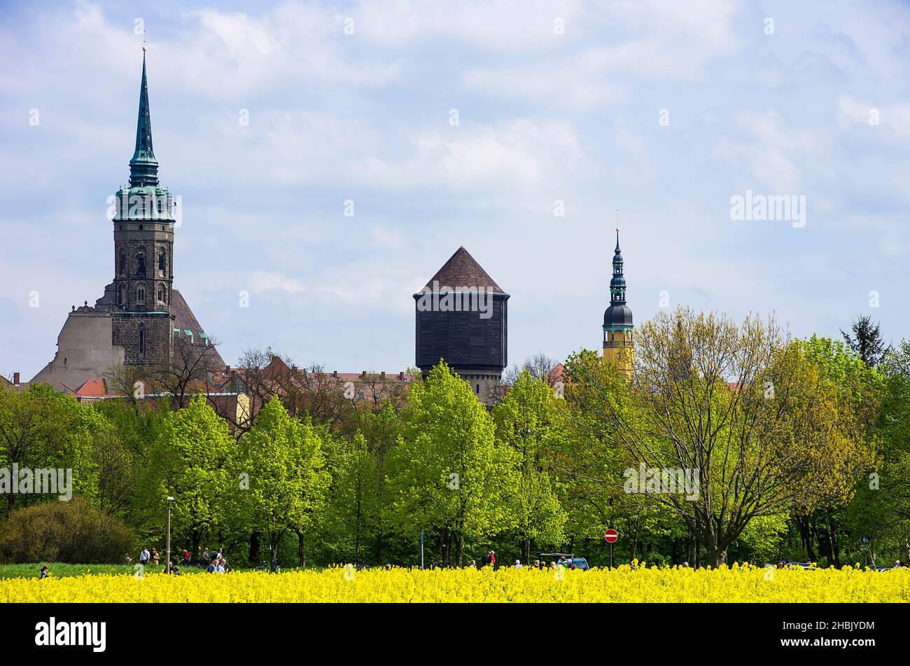 Bautzen, haute-Lusatia, Saxe, Allemagne: Vue de la cathédrale Saint-Pierre, de la tour d'eau et de la tour de l'Hôtel de ville de l'Ouest de l'extérieur de la ville. Banque D'Images