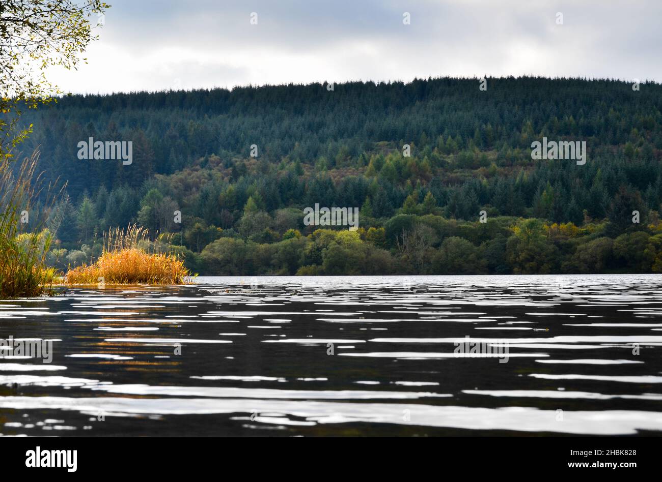 Llwyn-on Reservoir, Brecon Beacons, pays de Galles, Royaume-Uni, en automne Banque D'Images