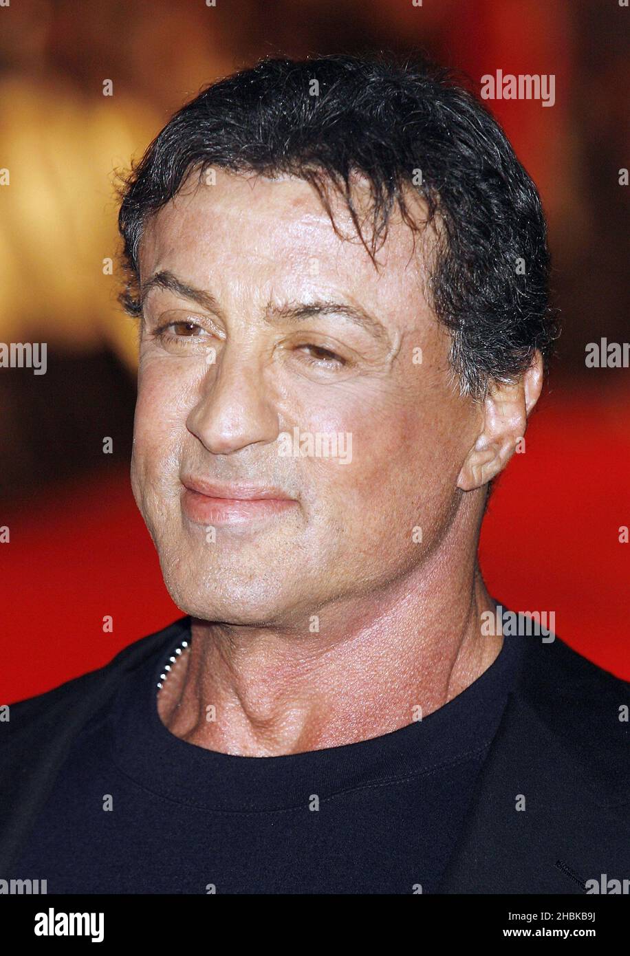 Sylvester Stallone arrive pour la première de Rambo au Royaume-Uni au vue West End, Londres Banque D'Images