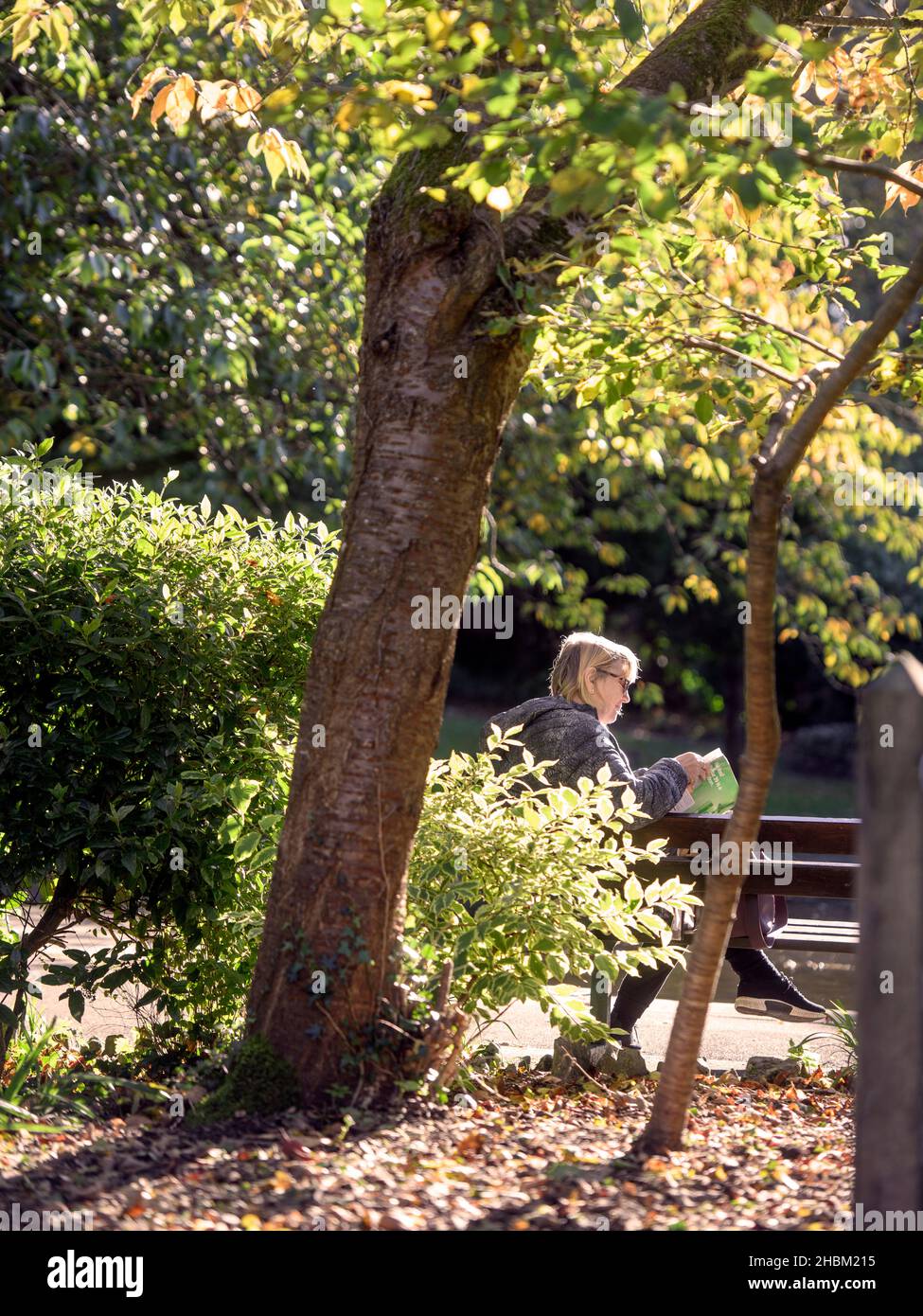 Une dame qui lit aujourd'hui dans le parc Collett à Shepton Mallet, dans le Somerset Banque D'Images