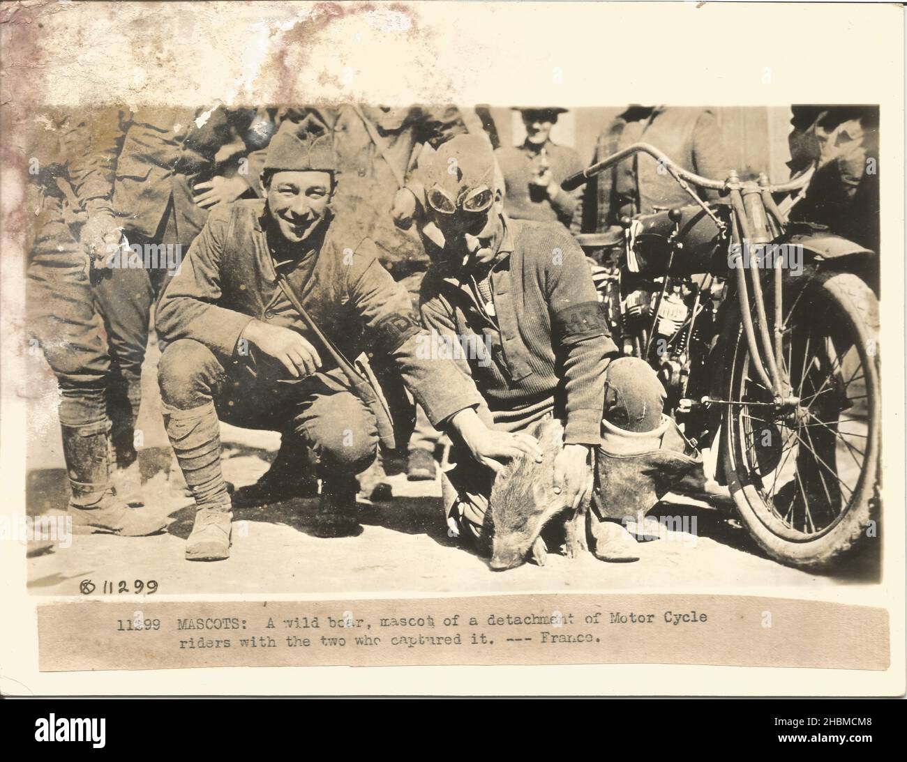 WWI unité militaire de moto américaine avec mascotte de sanglier Banque D'Images