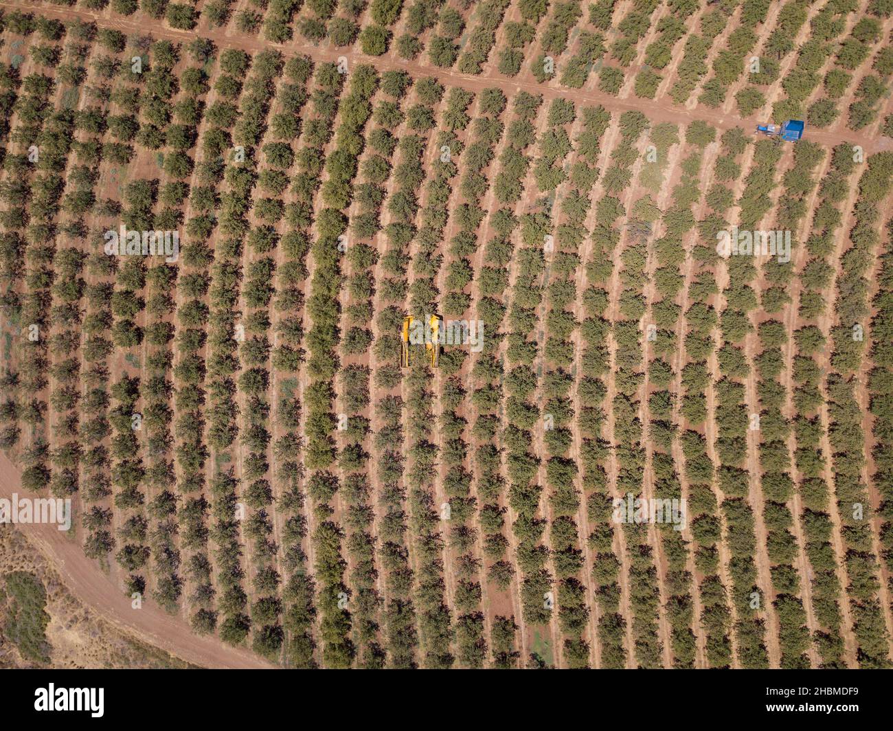 Tracteur bleu et remorque traversant le champ des arbres agricoles. Banque D'Images Tracteur bleu et remorque traversant le champ des arbres agricoles. Banque D'Images