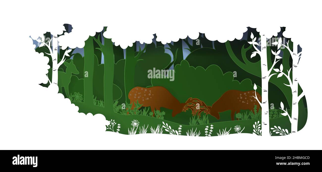 3D papier art paysage forestier, avec cerfs.Forêt vectorielle avec arbres et herbe Illustration de Vecteur
