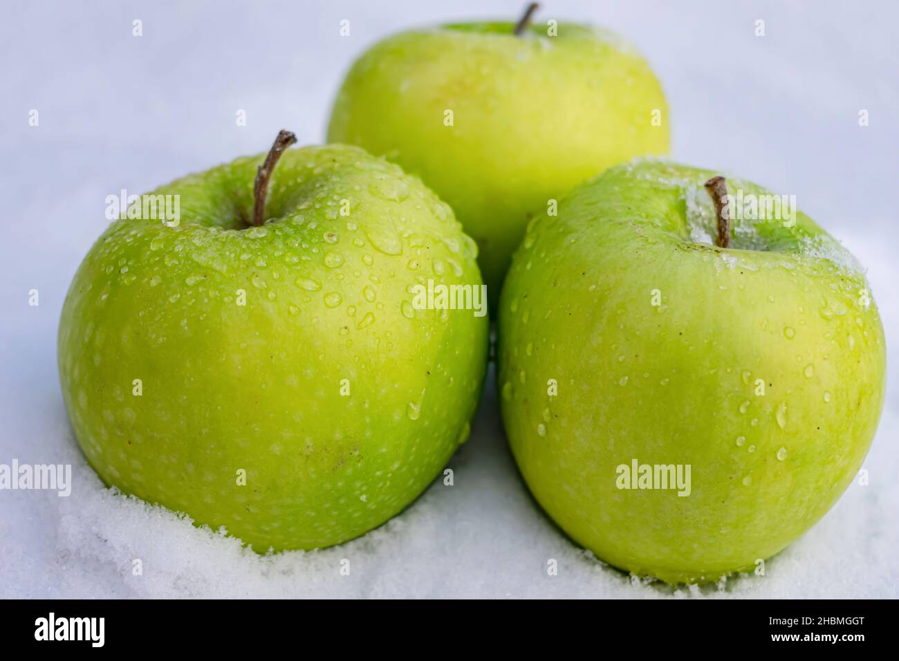 Trois pommes vertes mûres et juteuses recouvertes de gouttes d'eau se trouvent sur la neige fondue Banque D'Images