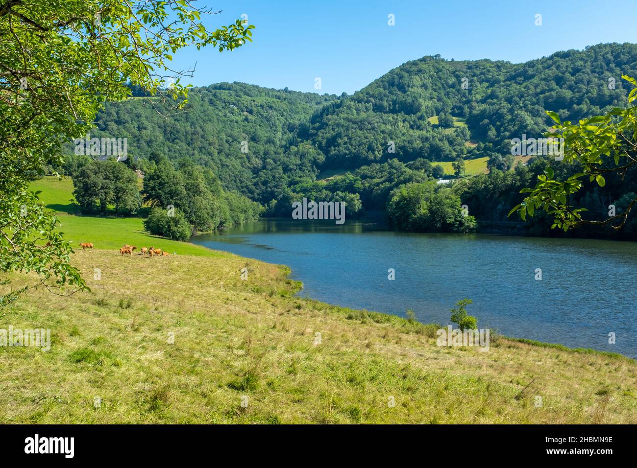 La rivière Lot près d'Estaing dans le sud-ouest de la France sur le chemin de Saint-Jacques pris un après-midi ensoleillé d'été, sans personne Banque D'Images