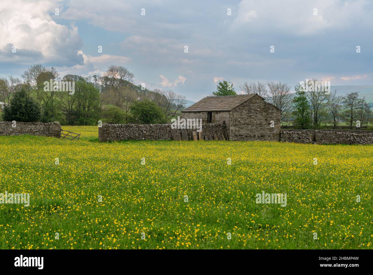 Prairies de fleurs sauvages une grange de campagne et des murs de pierre près de Hawes à Wensleydale, Yorkshire Dales Banque D'Images