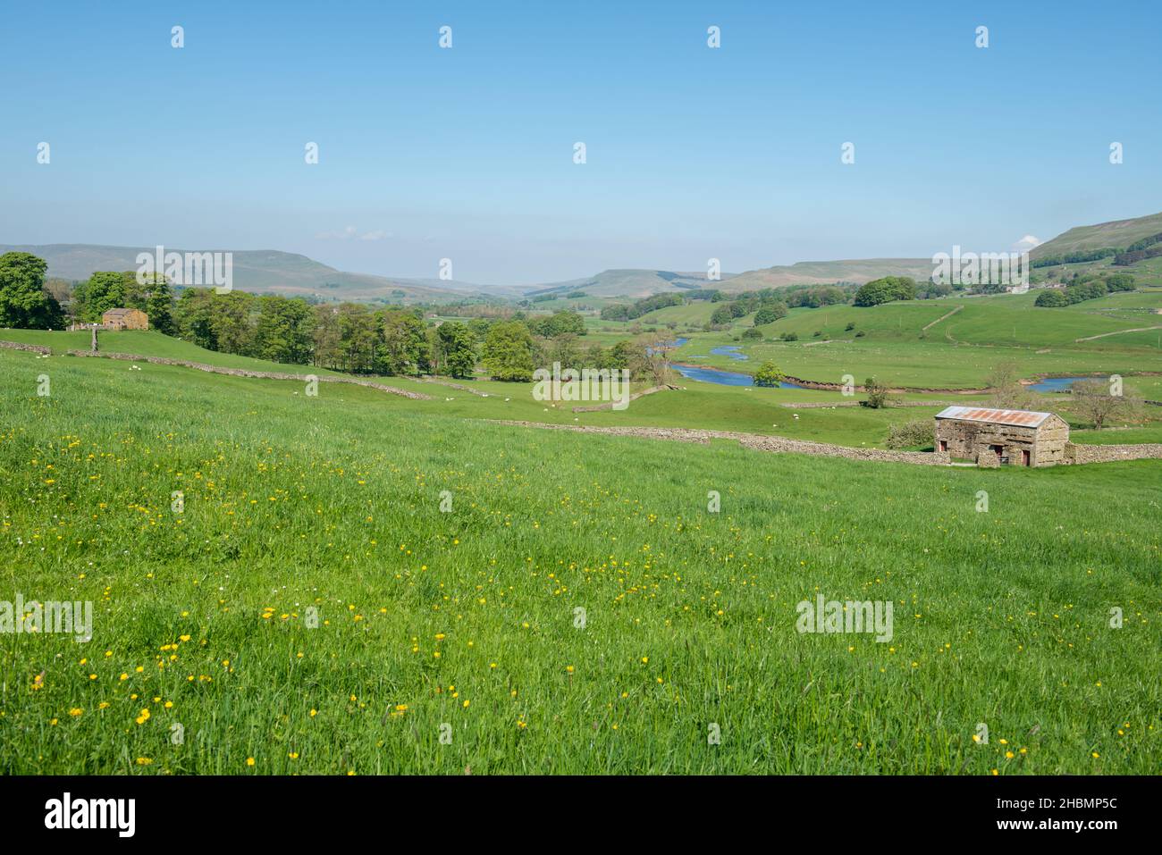 Vue panoramique sur les prairies, les granges et la rivière Ure dans le haut de Wensleydale Banque D'Images