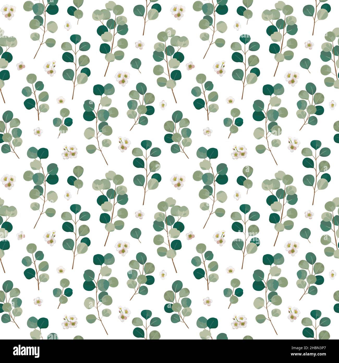 Branches d'eucalyptus et fleurs pour le design.Motif sans couture. Illustration de Vecteur