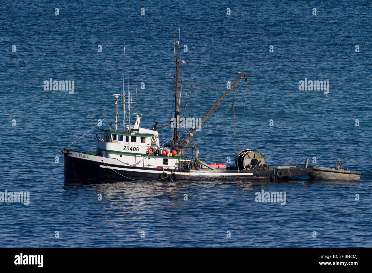 Pêche en bateau pêche du hareng du pacifique dans le détroit de Georgia (mer Salish) au large de la côte de Nanaimo, île de Vancouver, C.-B., Canada en mars Banque D'Images