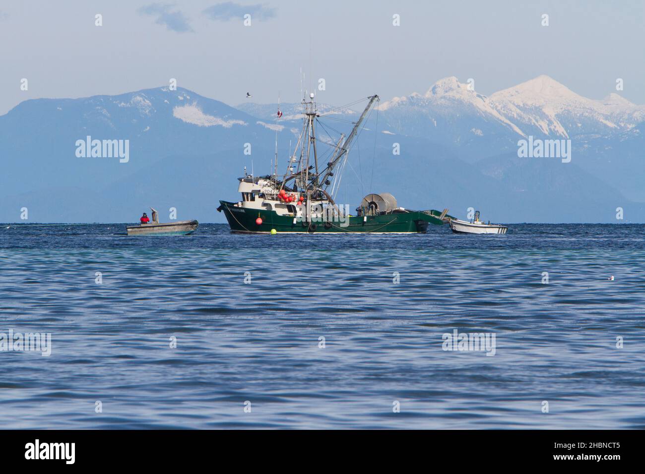 Pêche en bateau pêche du hareng du pacifique dans le détroit de Georgia (mer Salish) au large de la côte de Nanaimo, île de Vancouver, C.-B., Canada en mars Banque D'Images
