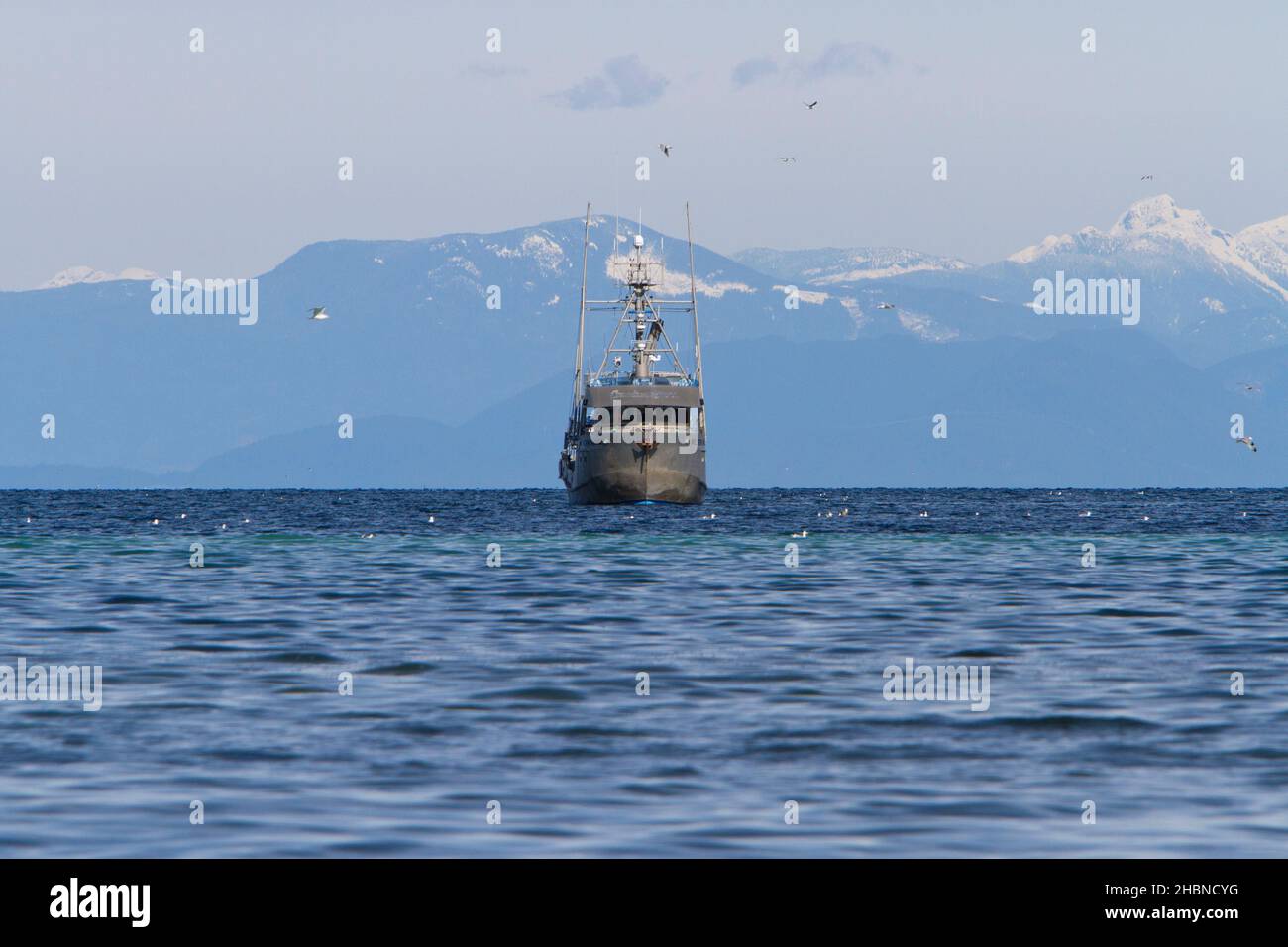 Pêche en bateau pêche du hareng du pacifique dans le détroit de Georgia (mer Salish) au large de la côte de Nanaimo, île de Vancouver, C.-B., Canada en mars Banque D'Images