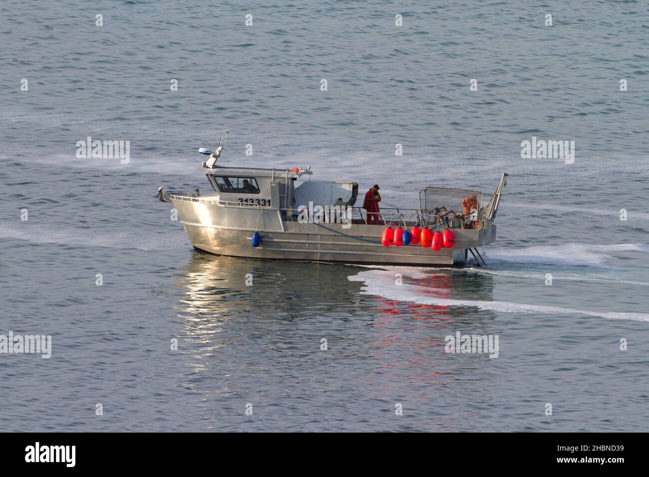 Pêche au hareng du pacifique dans le détroit de Georgia (mer Salish) au large de la côte de Nanaimo, île de Vancouver, C.-B., Canada en mars Banque D'Images