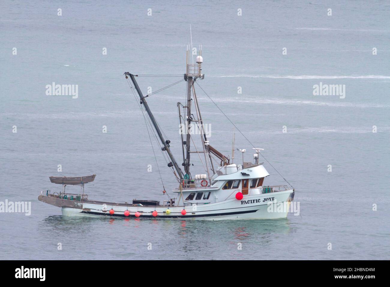Pêche en bateau pêche du hareng du pacifique dans le détroit de Georgia (mer Salish) au large de la côte de Nanaimo, île de Vancouver, C.-B., Canada en mars Banque D'Images