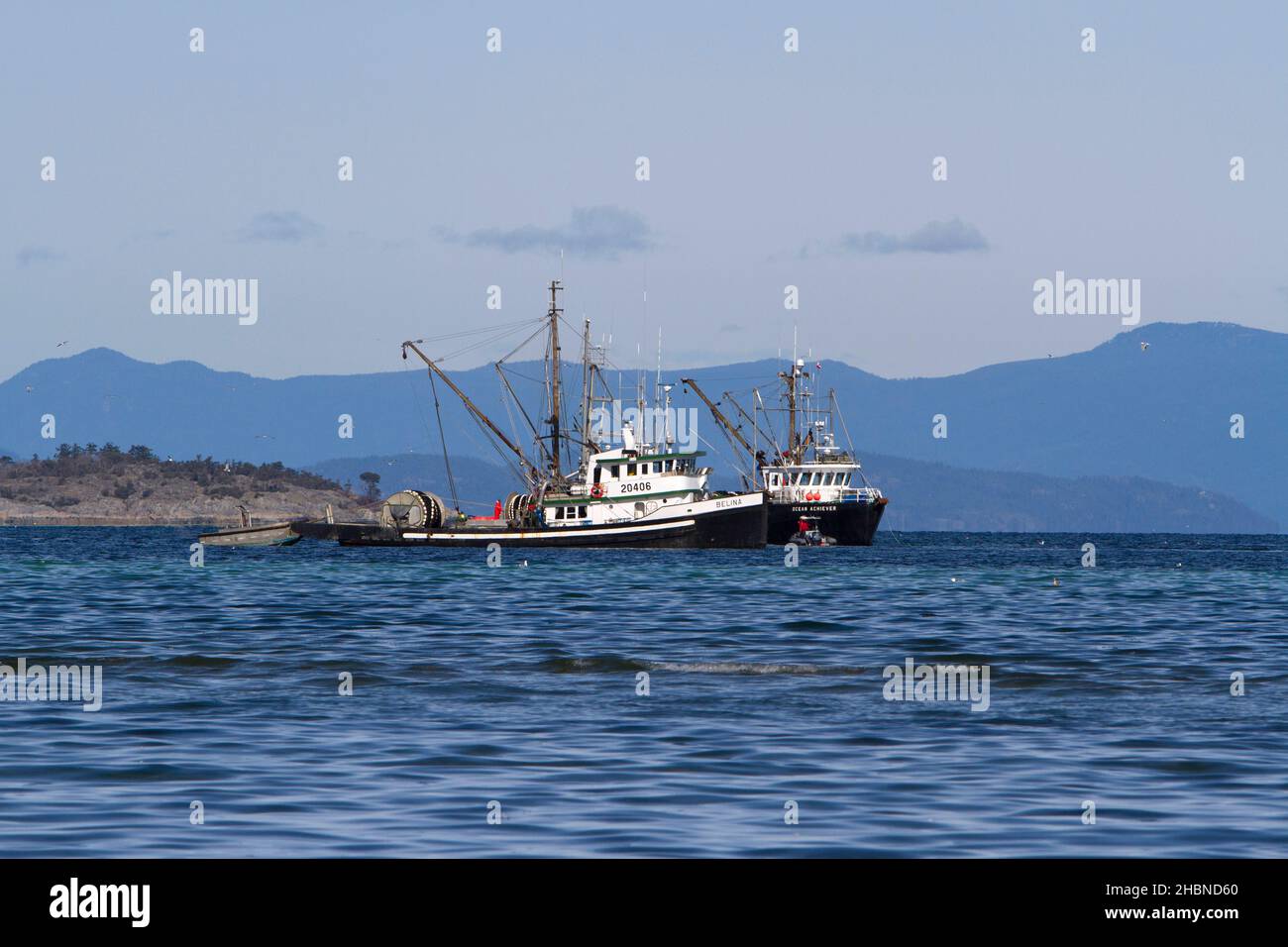 Bateaux de pêche pêchant le hareng du pacifique dans le détroit de Georgia (mer Salish) au large de la côte de Nanaimo, île de Vancouver, C.-B., Canada en mars Banque D'Images