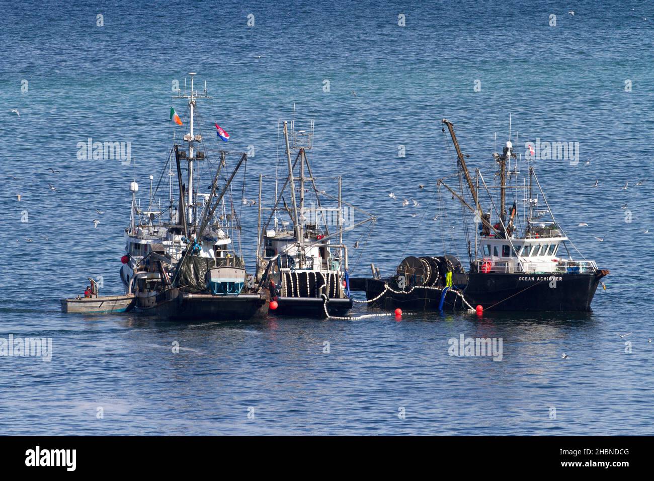 Bateaux de pêche pêchant le hareng du pacifique dans le détroit de Georgia (mer Salish) au large de la côte de Nanaimo, île de Vancouver, C.-B., Canada en mars Banque D'Images