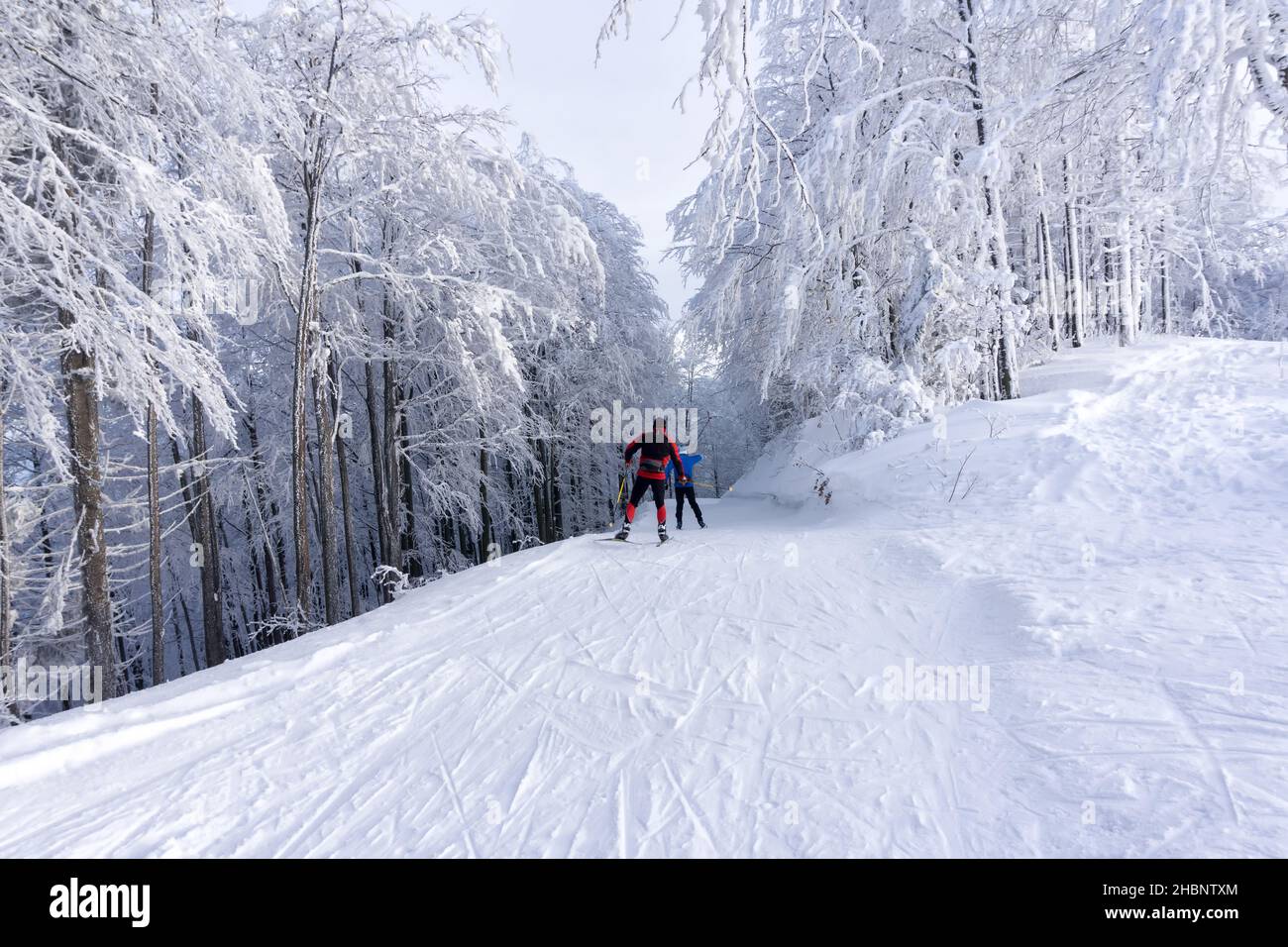 Deux skieurs de fond font une piste de ski bien entretenue.Route en montagne en hiver.Arbres couverts de givre.Monts Kremnica, Slovaquie. Banque D'Images