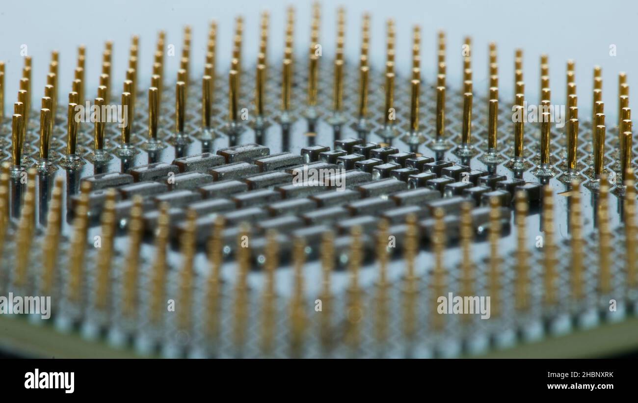 Macro CPU avec broches d'or Banque D'Images