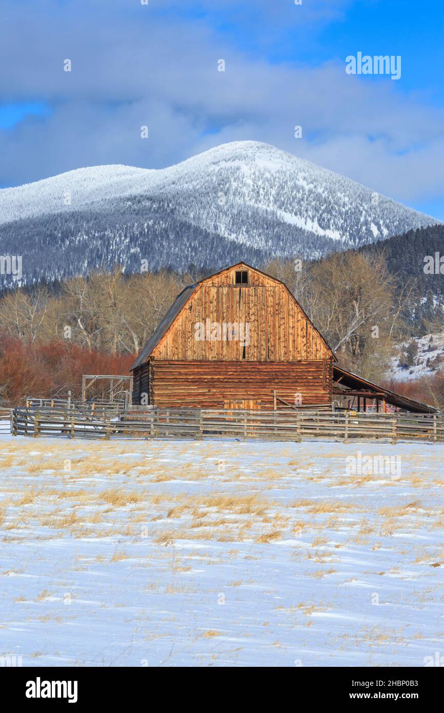 ancienne grange en bois au-dessous de la montagne noire sur la ligne de partage continentale en hiver près d'avon, montana Banque D'Images
