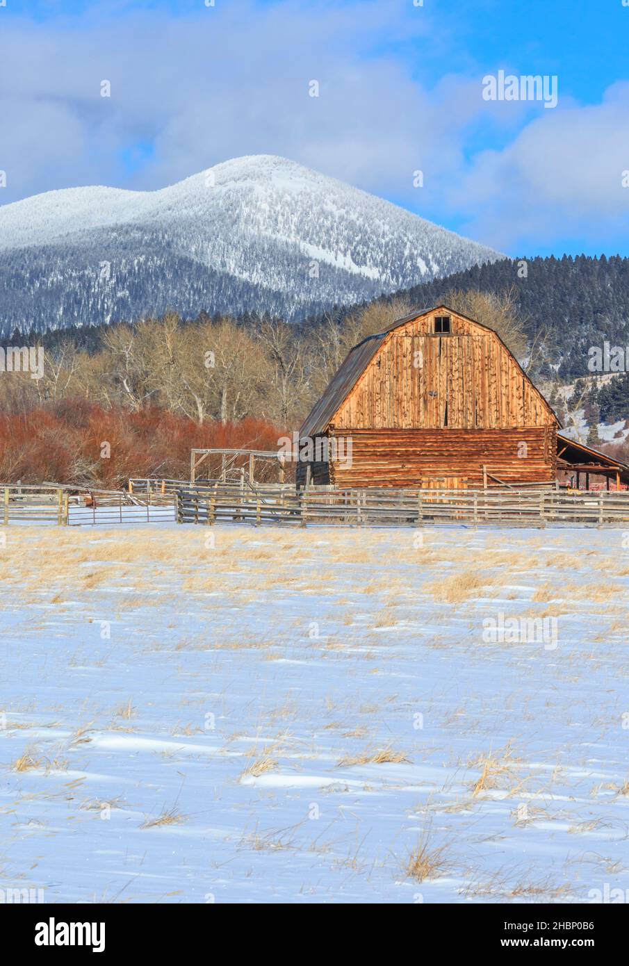 ancienne grange en bois au-dessous de la montagne noire sur la ligne de partage continentale en hiver près d'avon, montana Banque D'Images