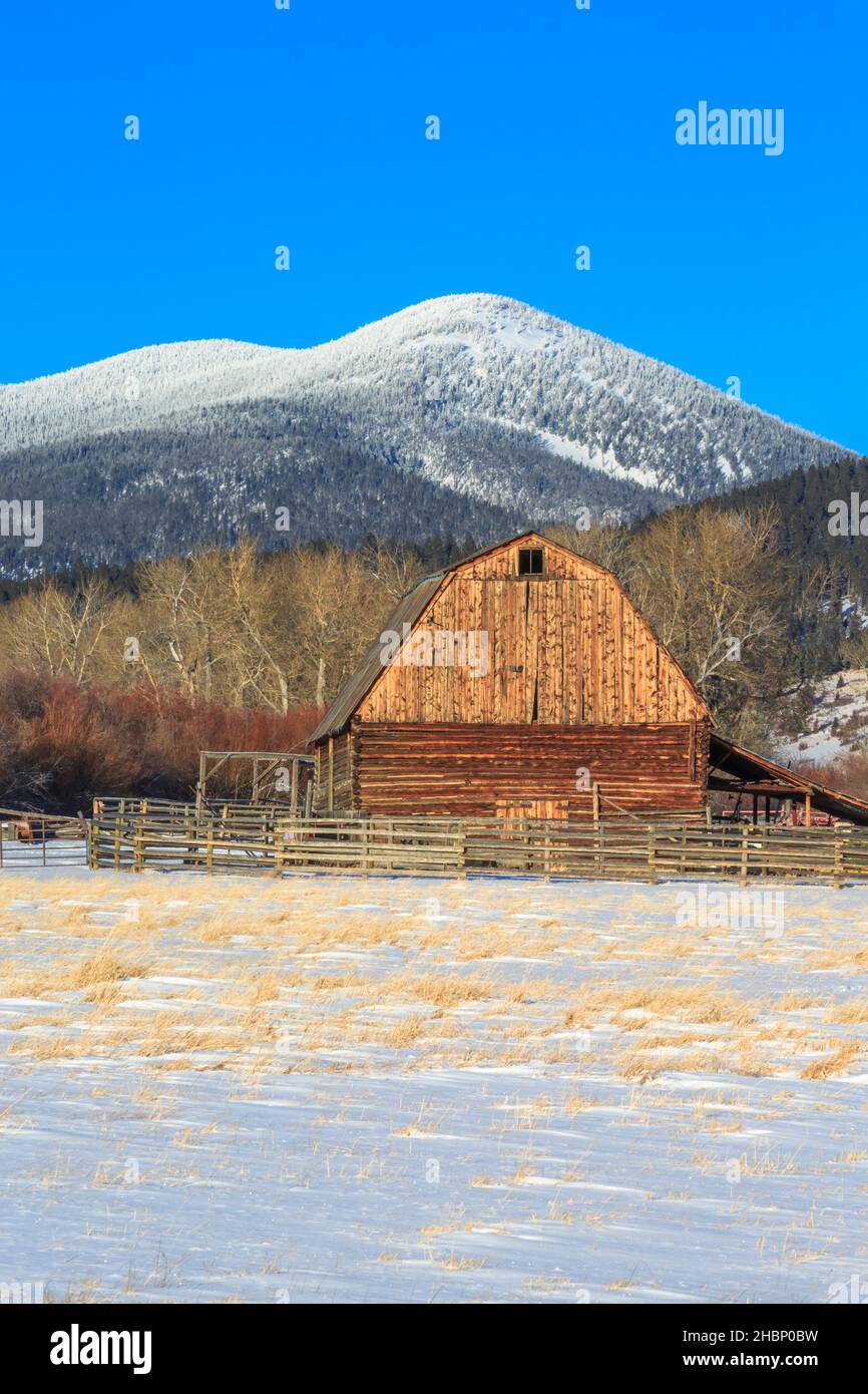 ancienne grange en bois au-dessous de la montagne noire sur la ligne de partage continentale en hiver près d'avon, montana Banque D'Images