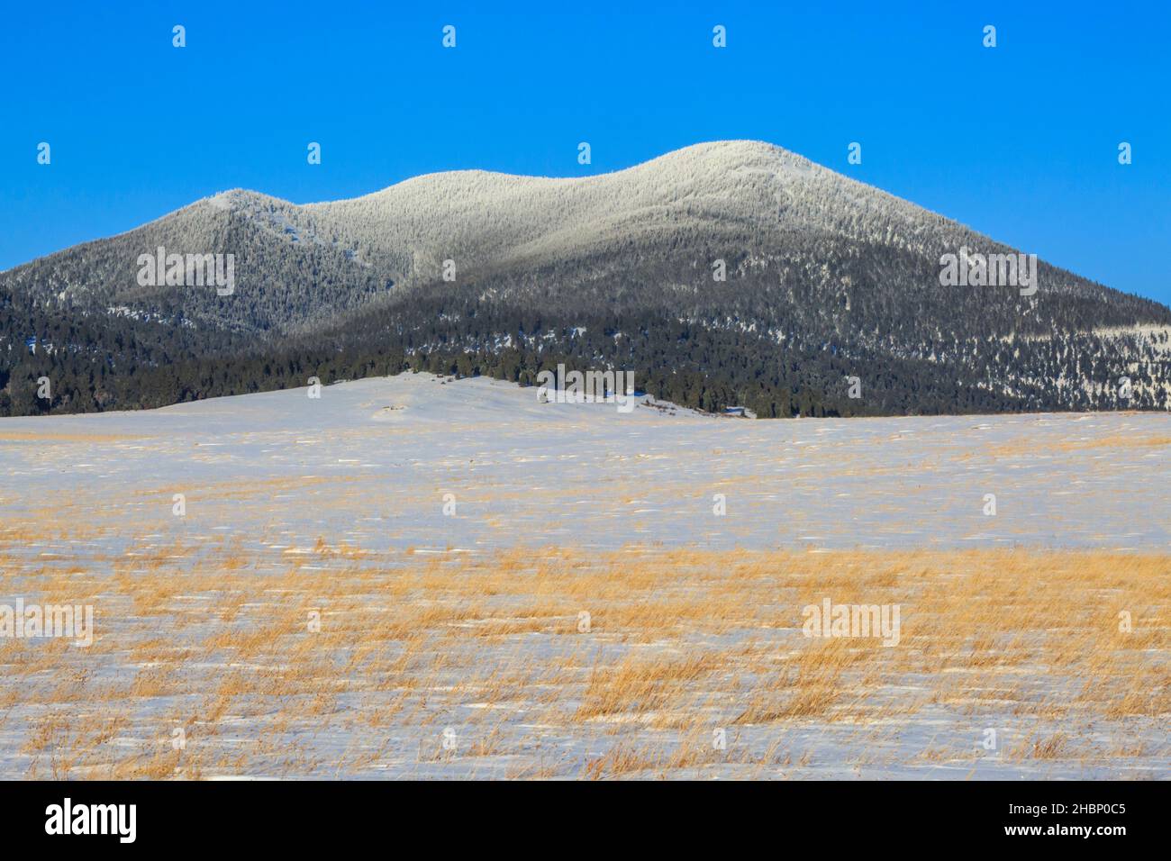 montagne noire le long de la ligne de partage continentale en hiver près d'avon, montana Banque D'Images