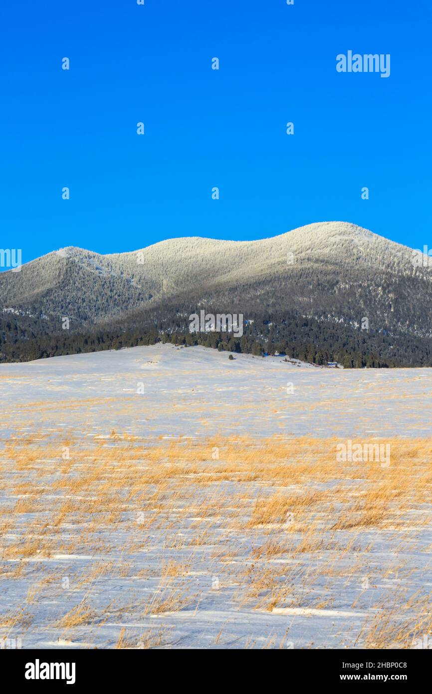 montagne noire le long de la ligne de partage continentale en hiver près d'avon, montana Banque D'Images