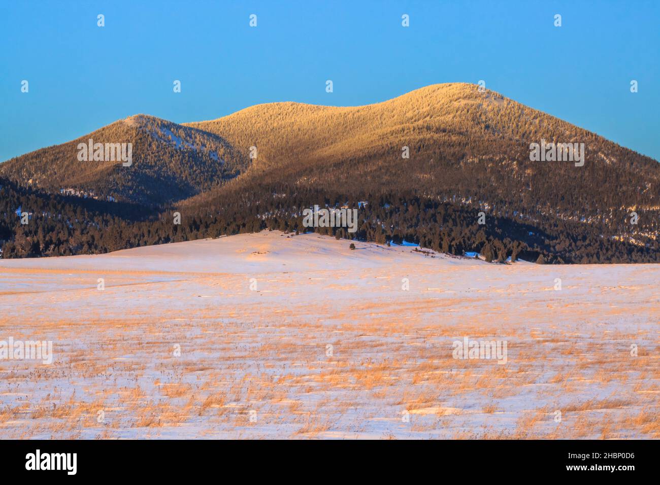montagne noire le long de la ligne de partage continentale en hiver près d'avon, montana Banque D'Images