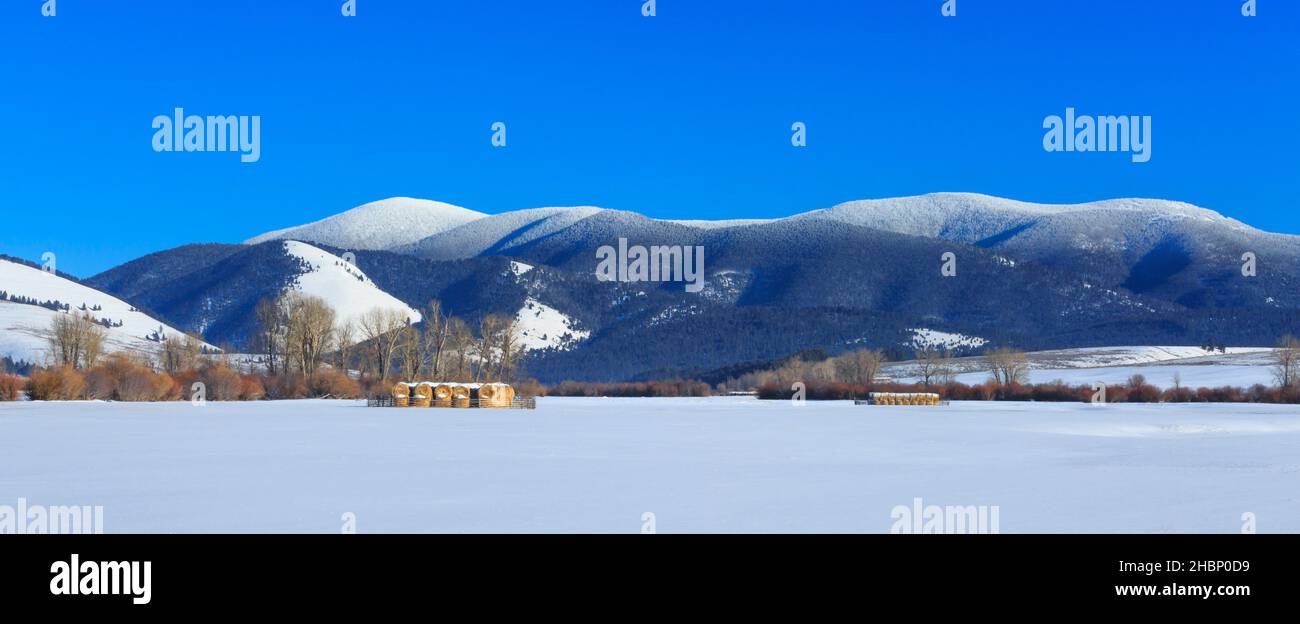 panorama de la montagne du nevada sur la division continentale au-dessus des balles de foin en hiver près d'avon, montana Banque D'Images