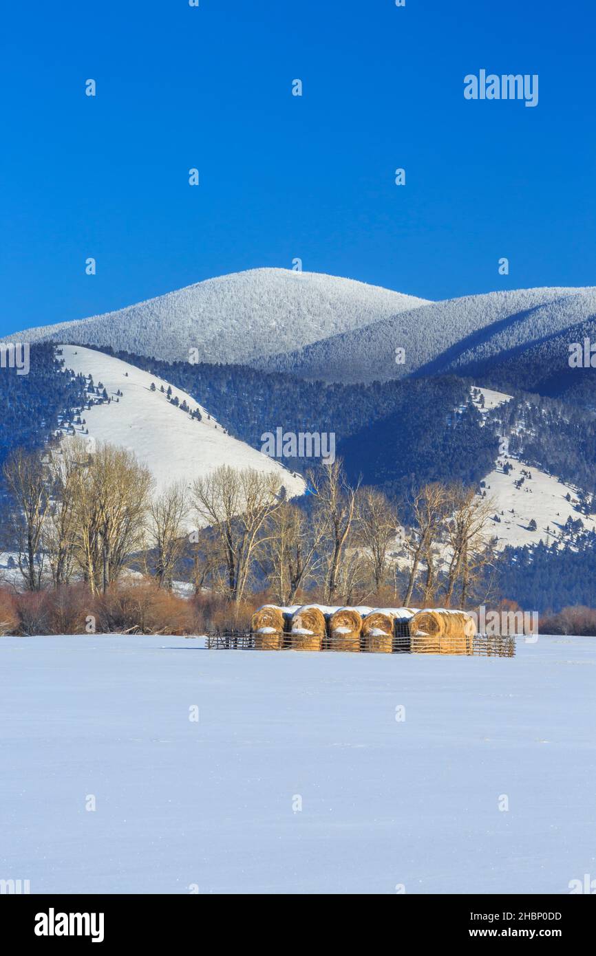 nevada montagne sur la ligne de partage continentale au-dessus des balles de foin en hiver près d'avon, montana Banque D'Images