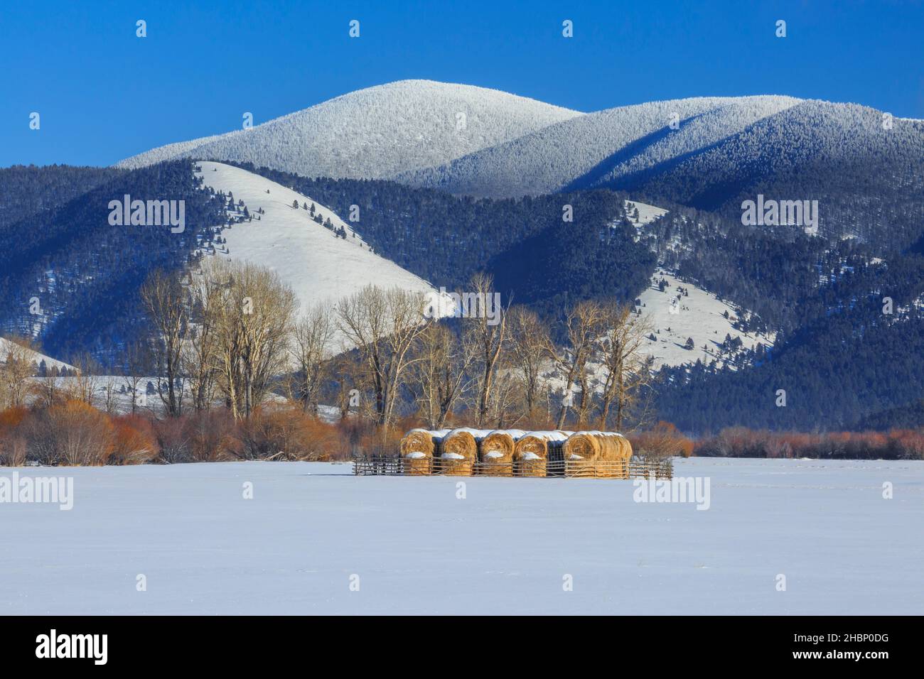 nevada montagne sur la ligne de partage continentale au-dessus des balles de foin en hiver près d'avon, montana Banque D'Images