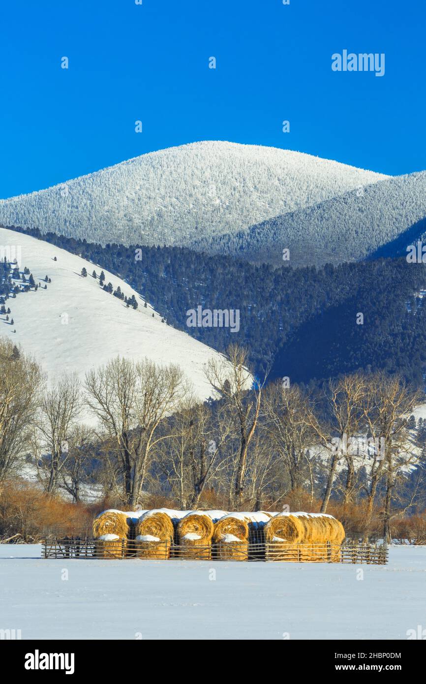 nevada montagne sur la ligne de partage continentale au-dessus des balles de foin en hiver près d'avon, montana Banque D'Images