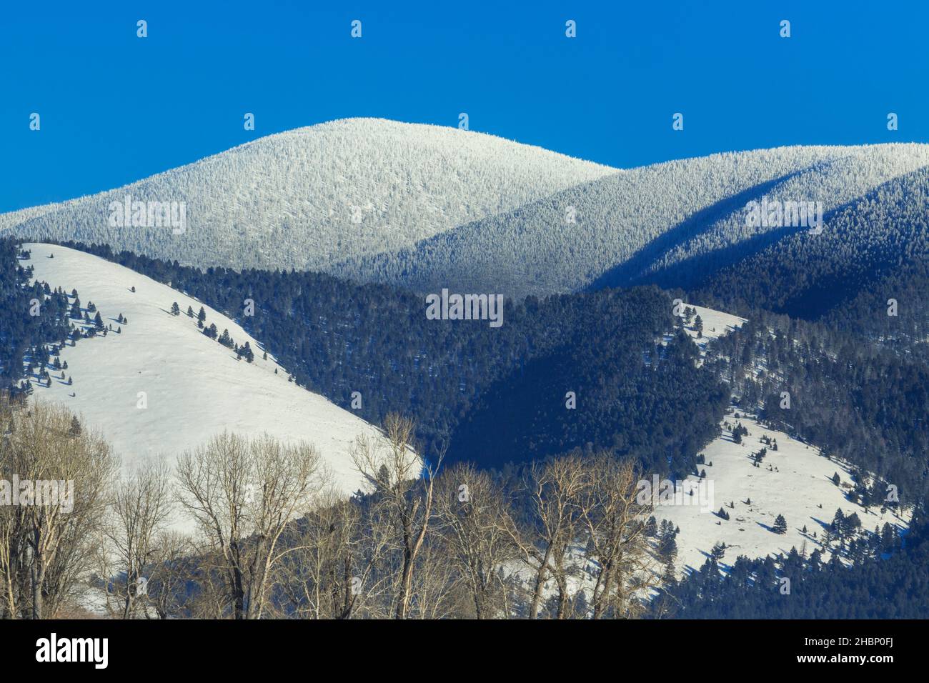 nevada montagne sur la ligne de partage continentale en hiver près d'avon, montana Banque D'Images