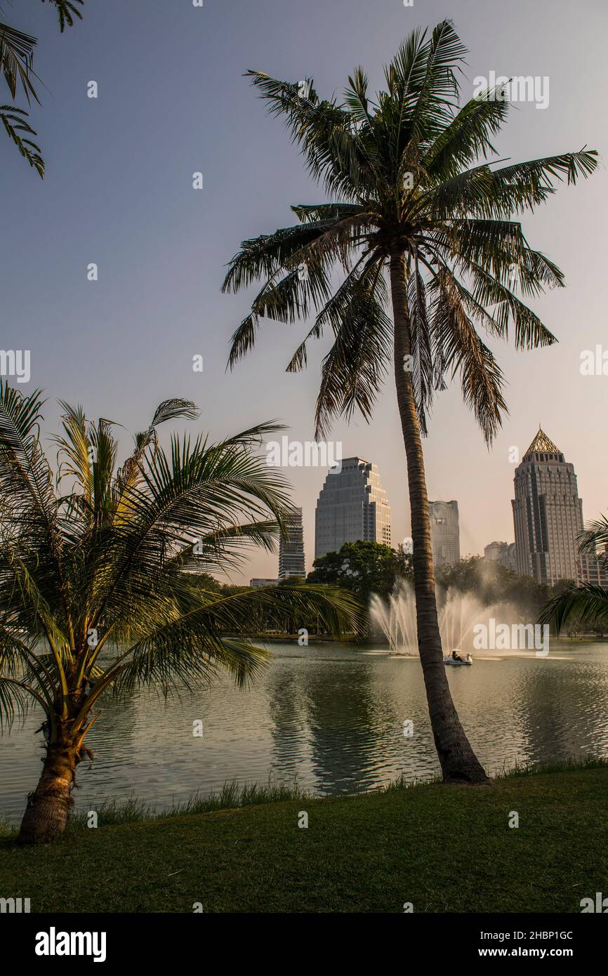 Le parc Lumpini est la principale zone de loisirs au cœur de la ville Banque D'Images