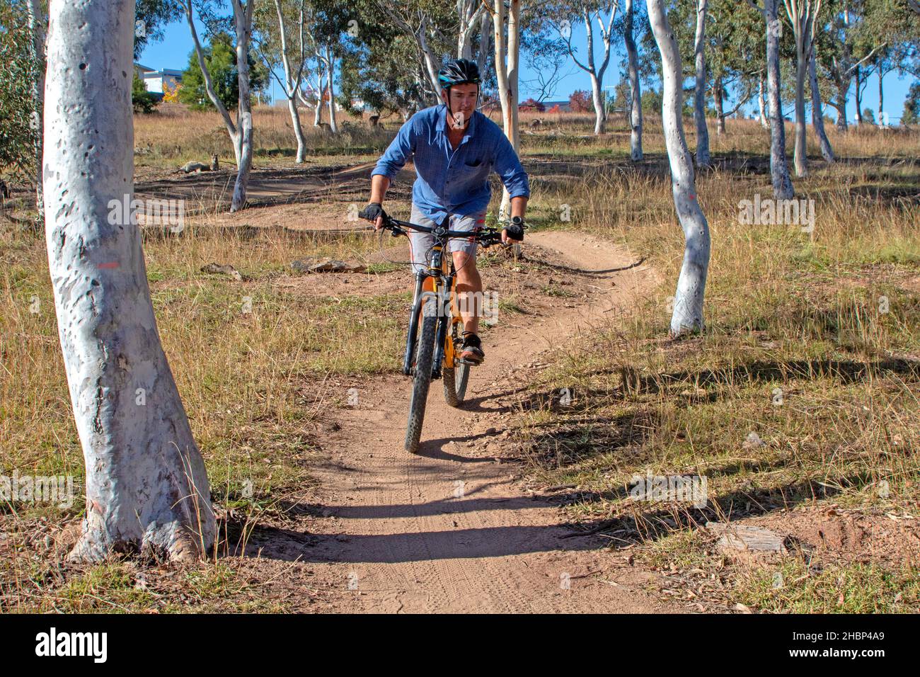 Vélo tout terrain sur le sentier des gommes fragiles à Stromlo Banque D'Images