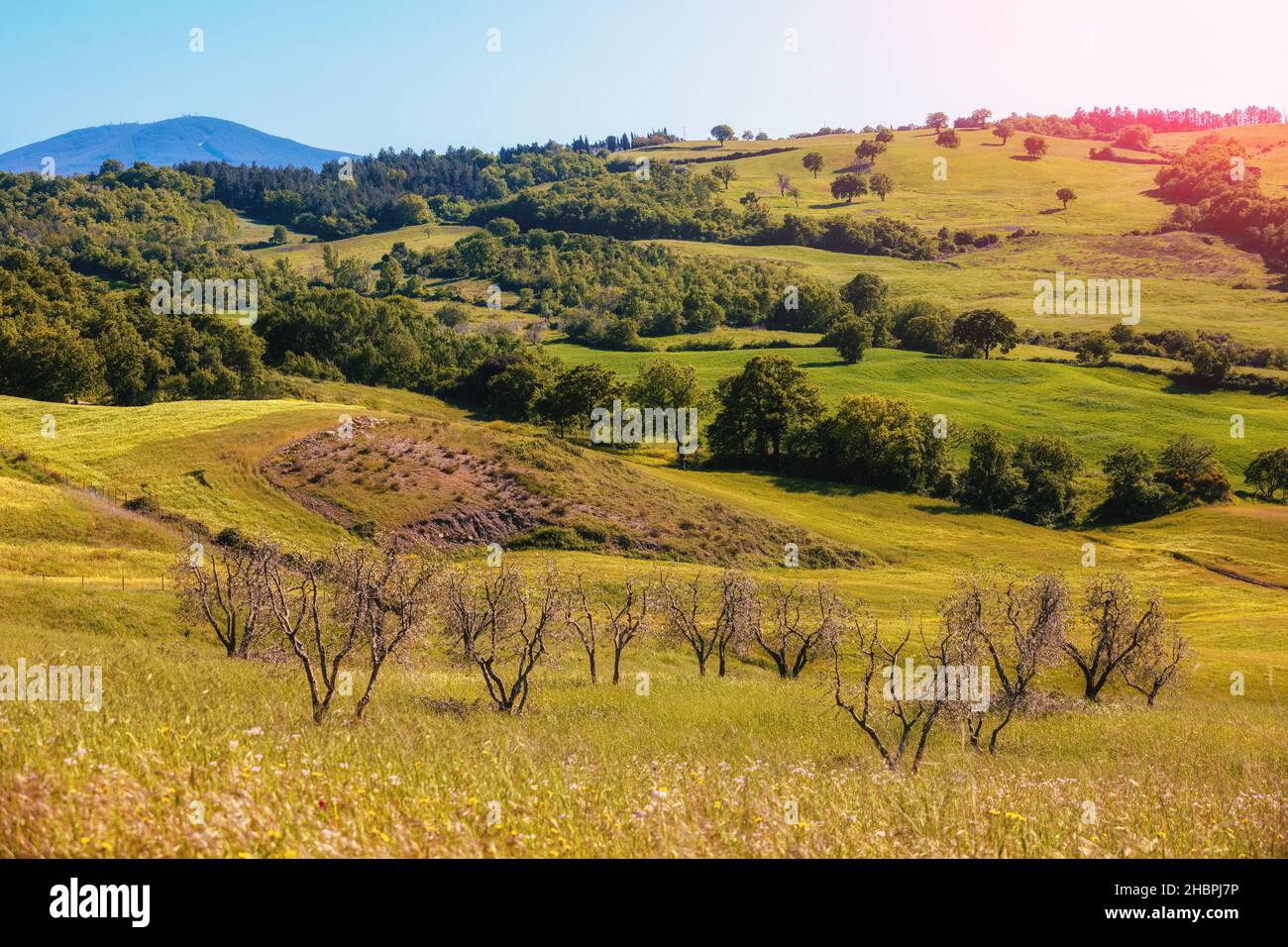 Paysage magnifique, nature printanière.Paysage de montagne.Vue sur les champs ensoleillés sur les collines vallonnées de Toscane, Italie Banque D'Images