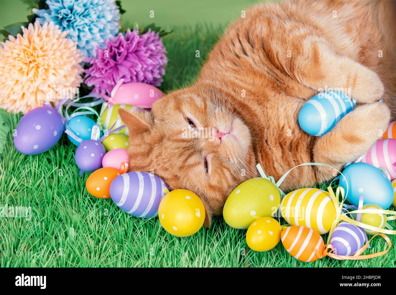 Un chat de gingembre drôle dormant sur gazon artificiel près des œufs de pâques colorés Banque D'Images