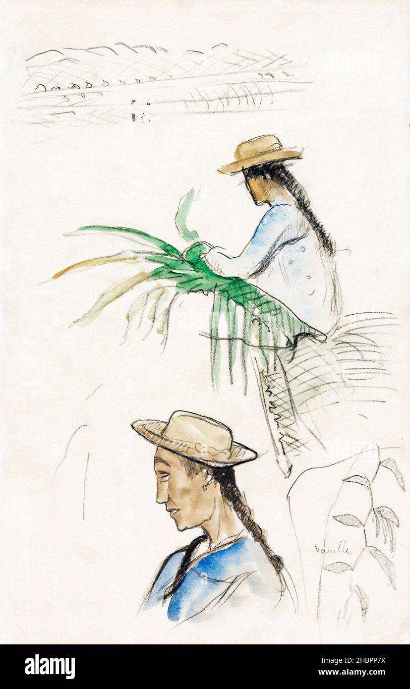 Croquis des figures, de la feuille de Pandanus et de la plante de vanille (ca.1891-1893) par Paul Gauguin. Banque D'Images