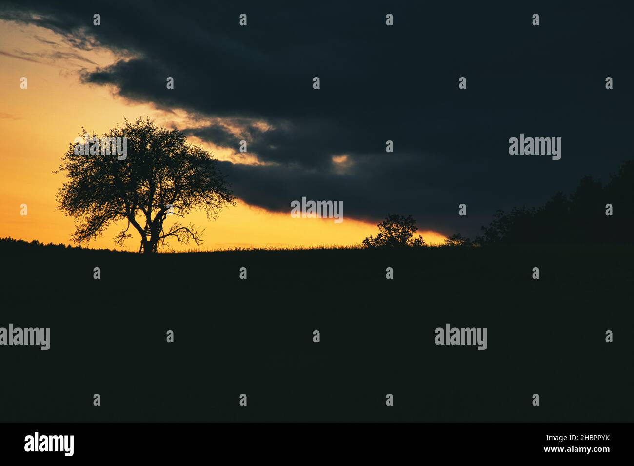 Coucher de soleil en Sarre avec un arbre contre lequel est penchée une échelle. Ciel spectaculaire. Atmosphère calme et solitaire lumière Banque D'Images Coucher de soleil en Sarre avec un arbre contre lequel est penchée une échelle. Ciel spectaculaire. Atmosphère calme et solitaire lumière Banque D'Images
