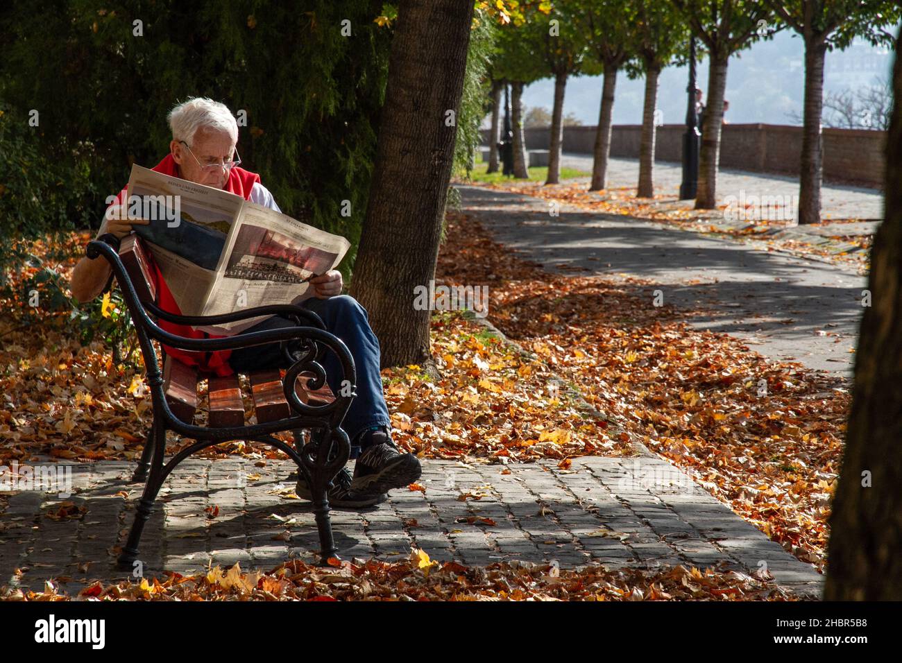 L'homme lit un journal entouré de feuilles d'automne dans un parc de Budapest, Hongrie Banque D'Images