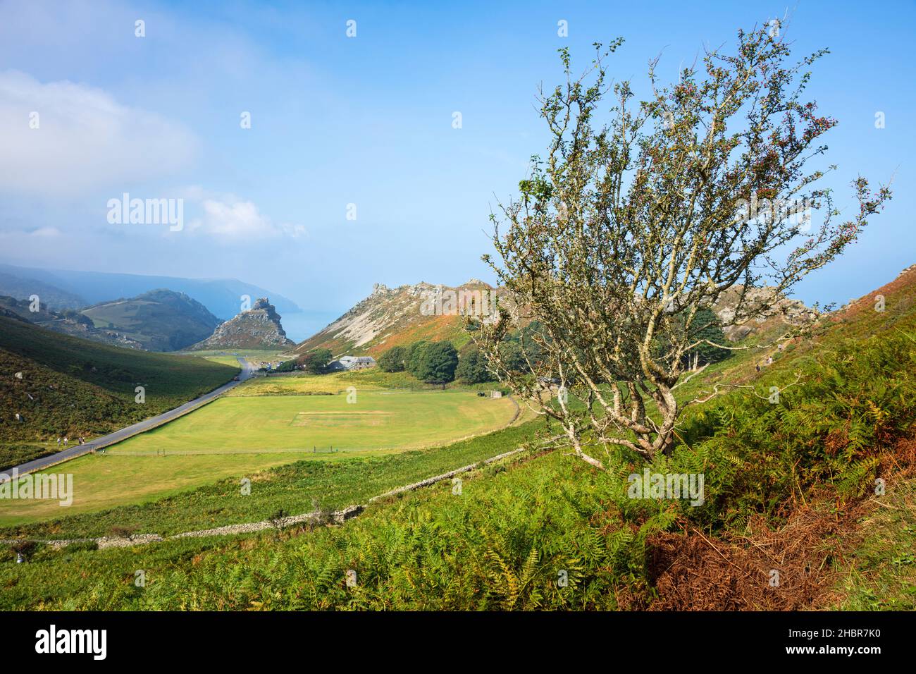 Parc national Valley of the Rocks Exmoor près de Lynton et Lynmouth Devon Angleterre GB Europe Banque D'Images