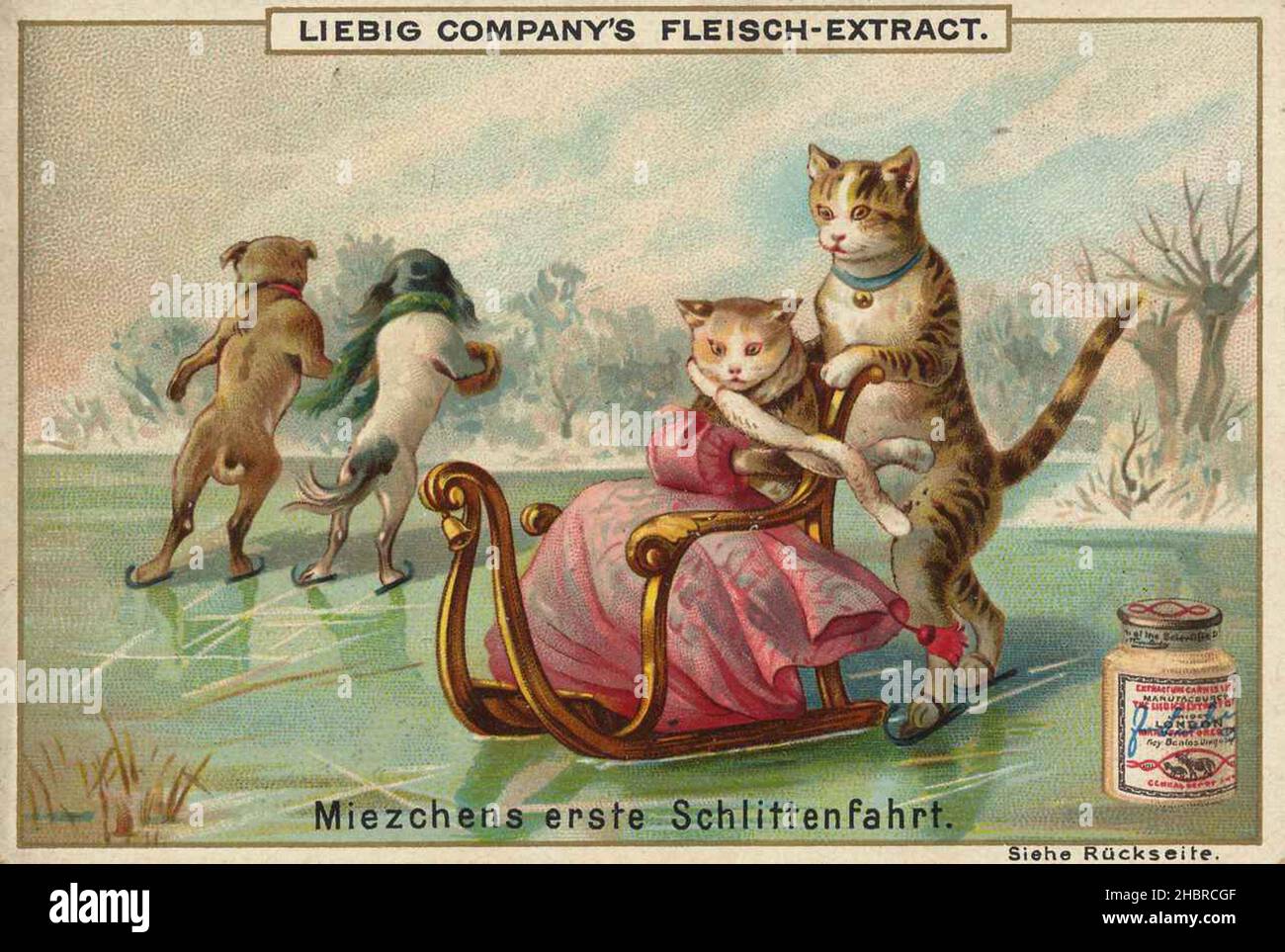 Série lustige Tierdarstellungen, Miezchens erste Schlttenfahrts, dargestellt mit Katzen / série d'illustrations d'animaux amusants, kitty d'abord Schlttenfahrts, représenté avec des chats, Liebigbild, reproduction numérique améliorée d'une image collectable de la société Liebig, estimée à partir de 1900, pd / digital resubeubekannines, Satum 1900 Banque D'Images