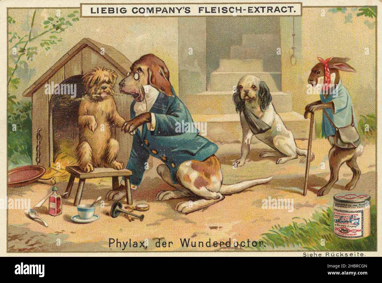 Série lustige Tierdarstellungen, Phylax der Wunderdoktor, dargestellt mit Hund und Hase / série illustrations d'animaux amusants, Phylax le miracle docteur, montré avec chien et lapin, Liebigbild, reproduction numérique améliorée d'une image de collection de la société Liebig, estimé à partir de 1900, pd / digital restaurierte Reproduktion des Sammelines, 1900Gemeinfrei, genaues Datum unbekannt Banque D'Images