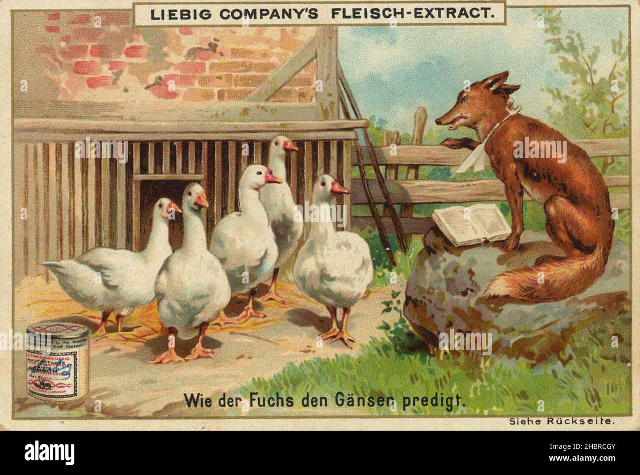 Série lustige Tierdarstellungen, Wie der Fuchs den Gänsen predigt, dargestellt mit Fuchs und Gänsen / série illustrations d'animaux amusants, Comment le renard se prêche aux oies, montré avec le renard et les oies, Liebigbild, reproduction numérique améliorée d'une image de collection de la société Liebig, estimée à partir de 1900,pd / Digital restaurierte Reproduktion eines Sammelbildes von ca 1900, gemeinfrei, genaues Datum unbekannt Banque D'Images