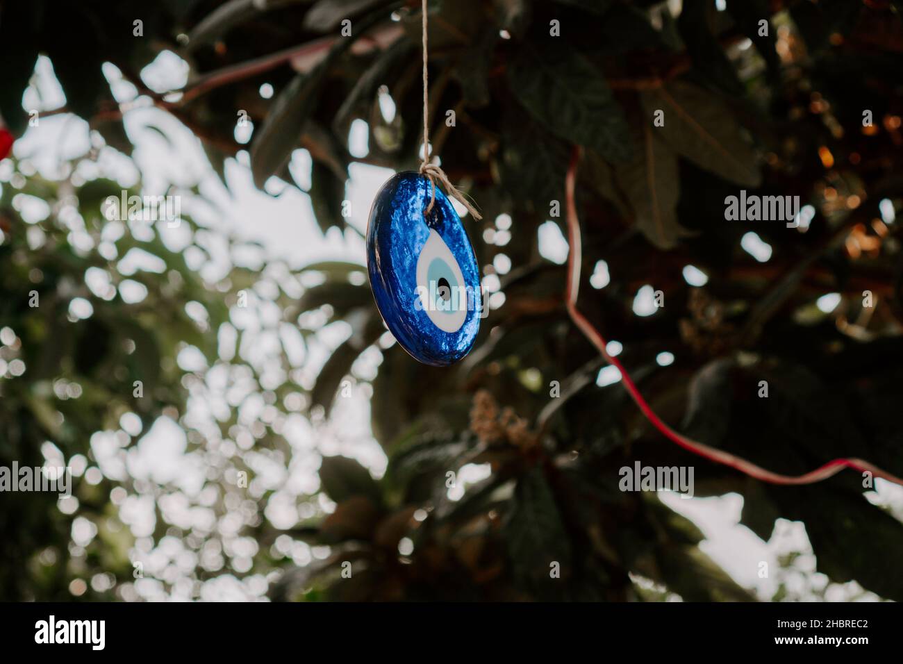 Amulette turque traditionnelle Nazar, oeil de mal turc, amulette en forme d'oeil turc Nazar boncugu.turc accrochée à un arbre.Turquie Banque D'Images