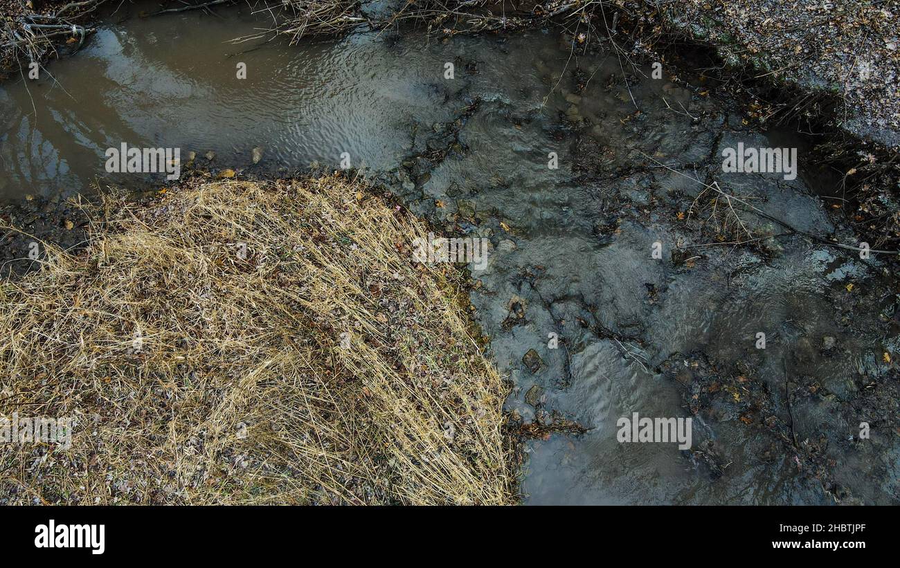 Rocky creek avec eau courante en automne Banque D'Images