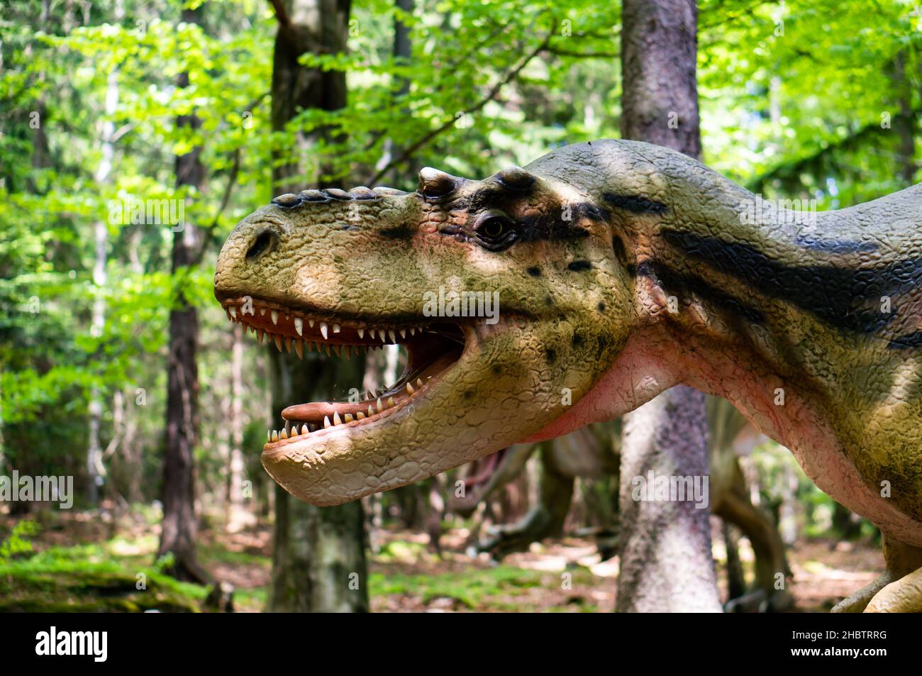 SZKLARSKA POREBA, POLOGNE - 10 mai 2018 : gros plan de la tête du modèle de dinosaure effrayant Albertosaurus dans le parc Dino, par une journée ensoleillée Banque D'Images