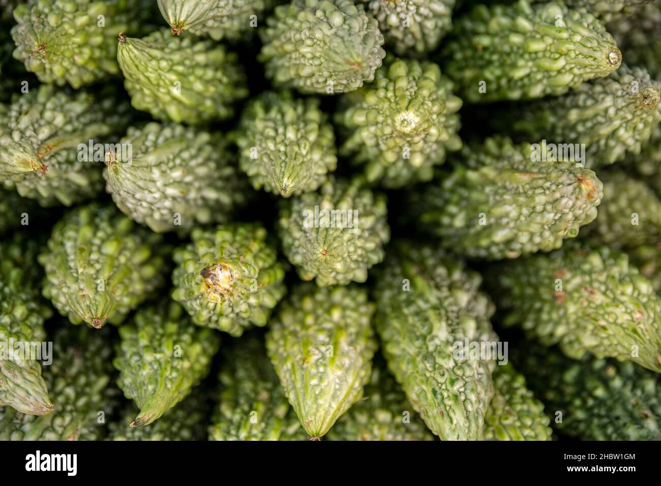 Melons amers en vente sur un marché alimentaire de Little India, Singapour Banque D'Images